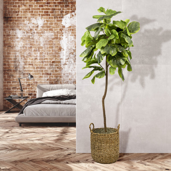 Primrue 60'' Faux Fiddle Leaf Fig Tree in Rattan Basket Wayfair